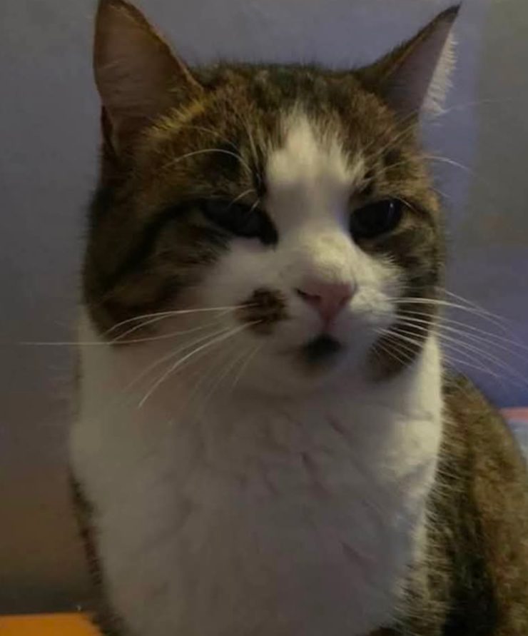 Dori 