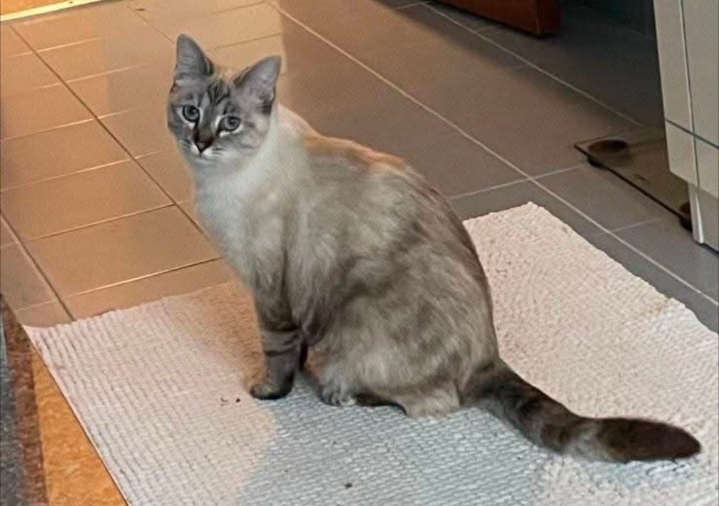 Luna