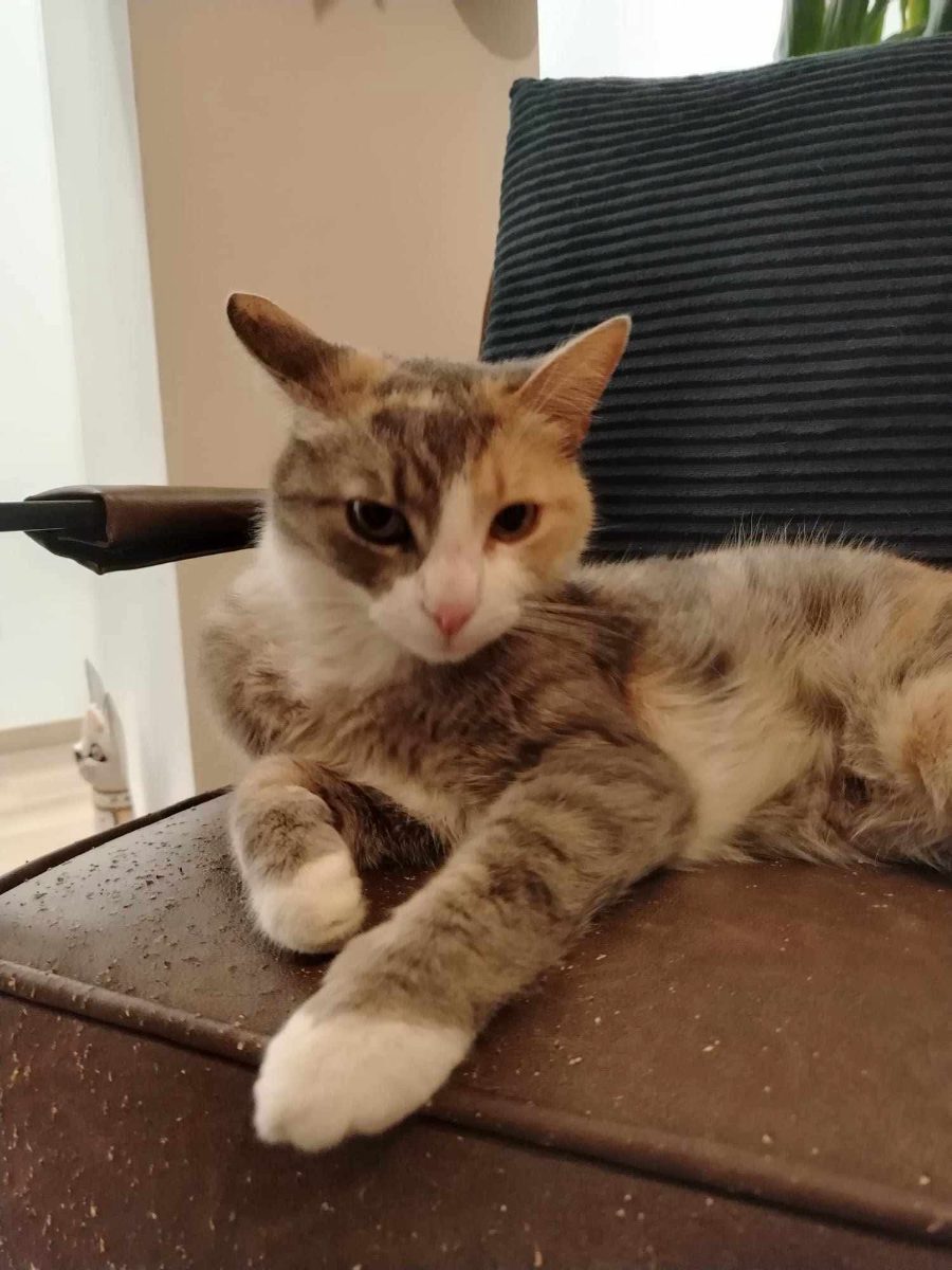 Luna
