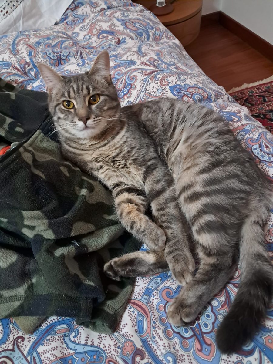 artù