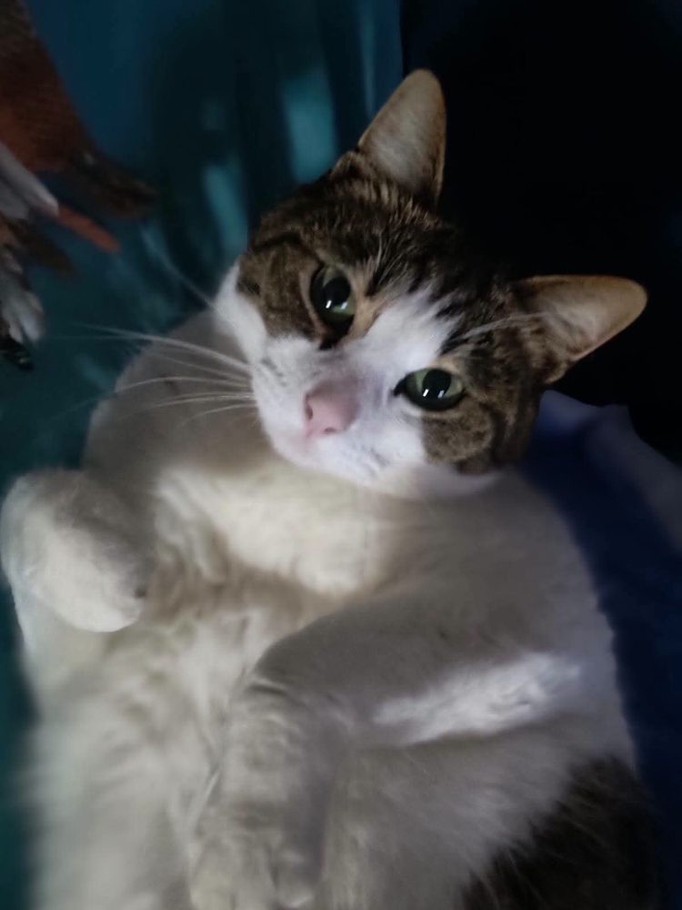 Luna
