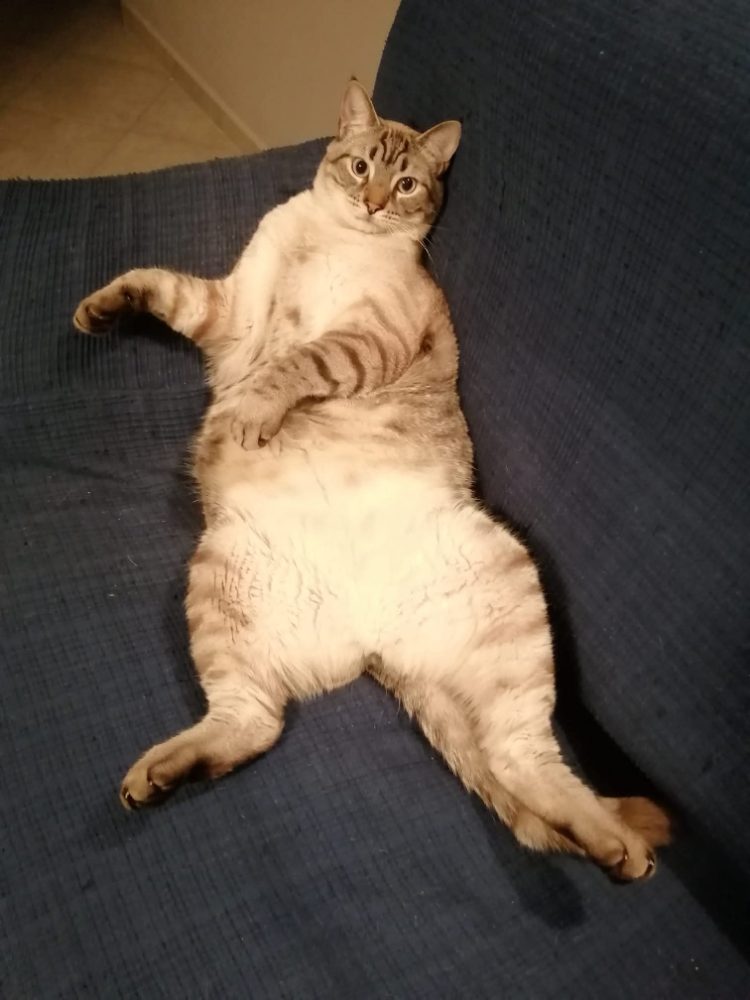 Coco