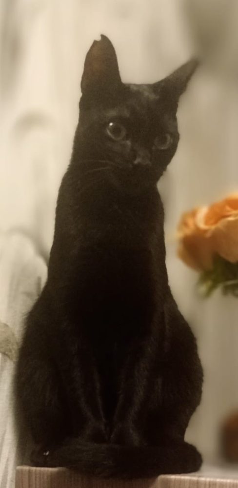 Mia