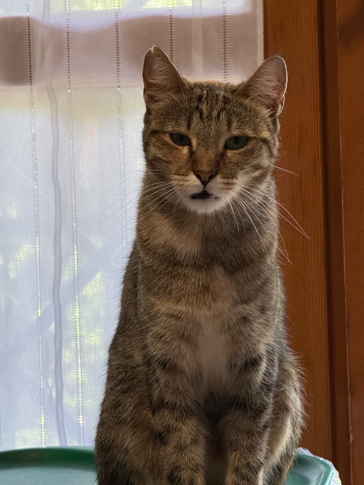 Mia