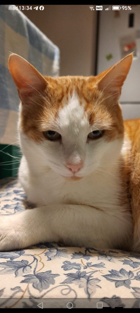 Artù