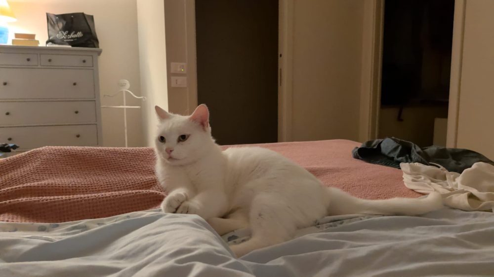 Piki