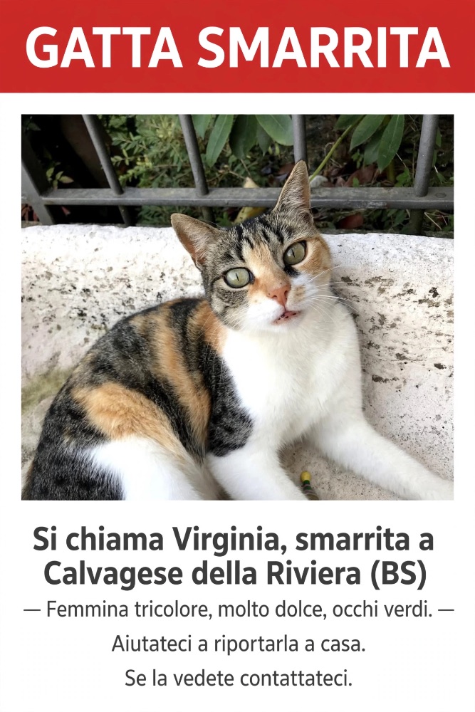 Virginia