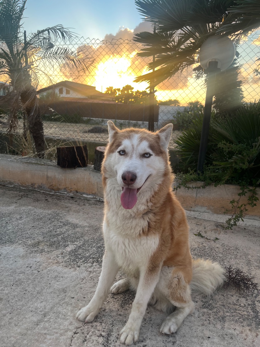 Zeus