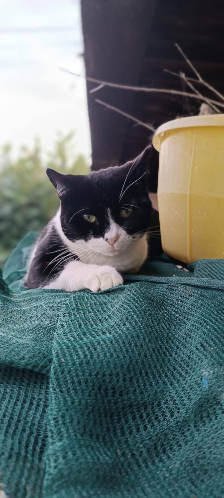 LUNA